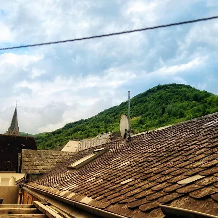 Direkter Moselblick I Altbau I 4 Personen I Terrasse Διαμέρισμα