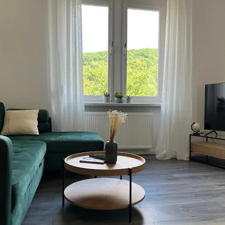 Apartment Direkter Moselblick I Altbau I 4 Personen I Terrasse Sankt Aldegund